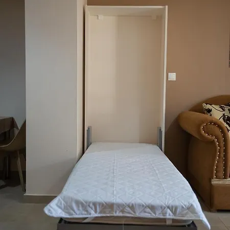 Theo And Irin's פלוגיטה